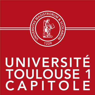 Logo Toulouse 1